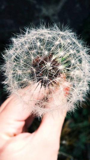 娱乐圈吃瓜大合集截图2